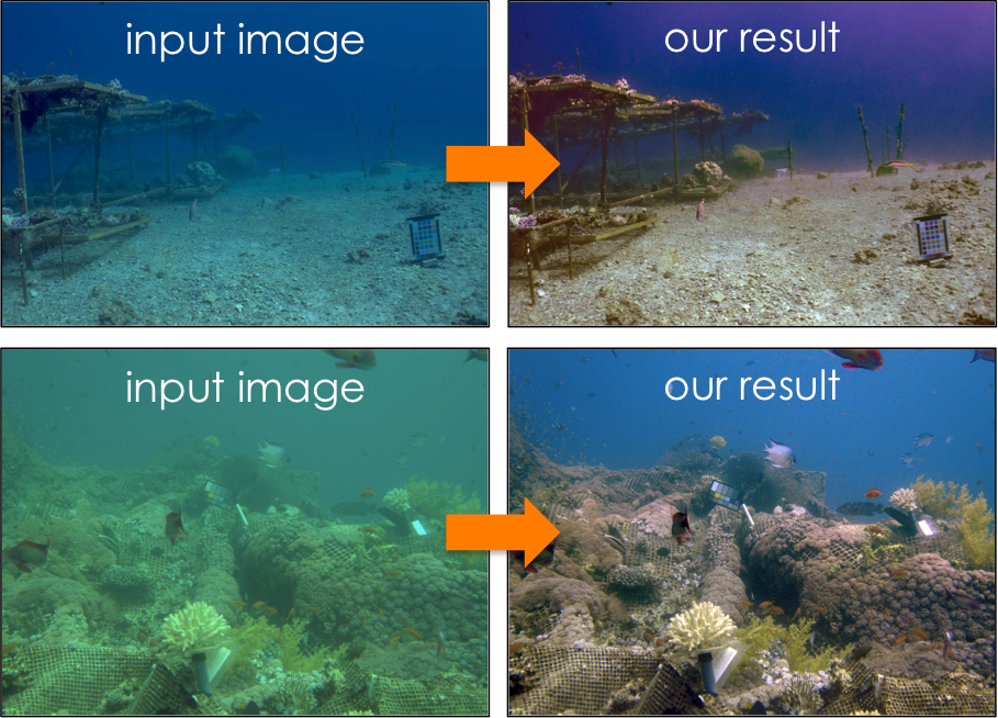 Intelligent Cameras: Overcoming the Challenges of Optical Imaging Underwater and in Haze 