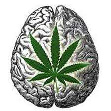 Cannabinoids (Cannabis): Treatment and prevention of neuropsychiatric disorders