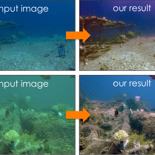 Intelligent Cameras: Overcoming the Challenges of Optical Imaging Underwater and in Haze 